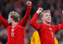 Hasil Pertandingan Denmark vs Masedonia Utara Skor 4-0